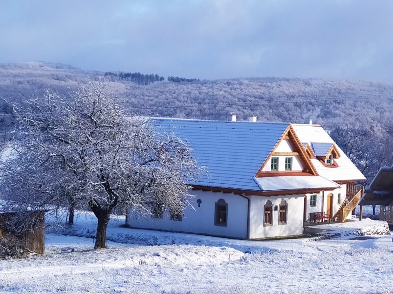 IMG_20211210_101048_1